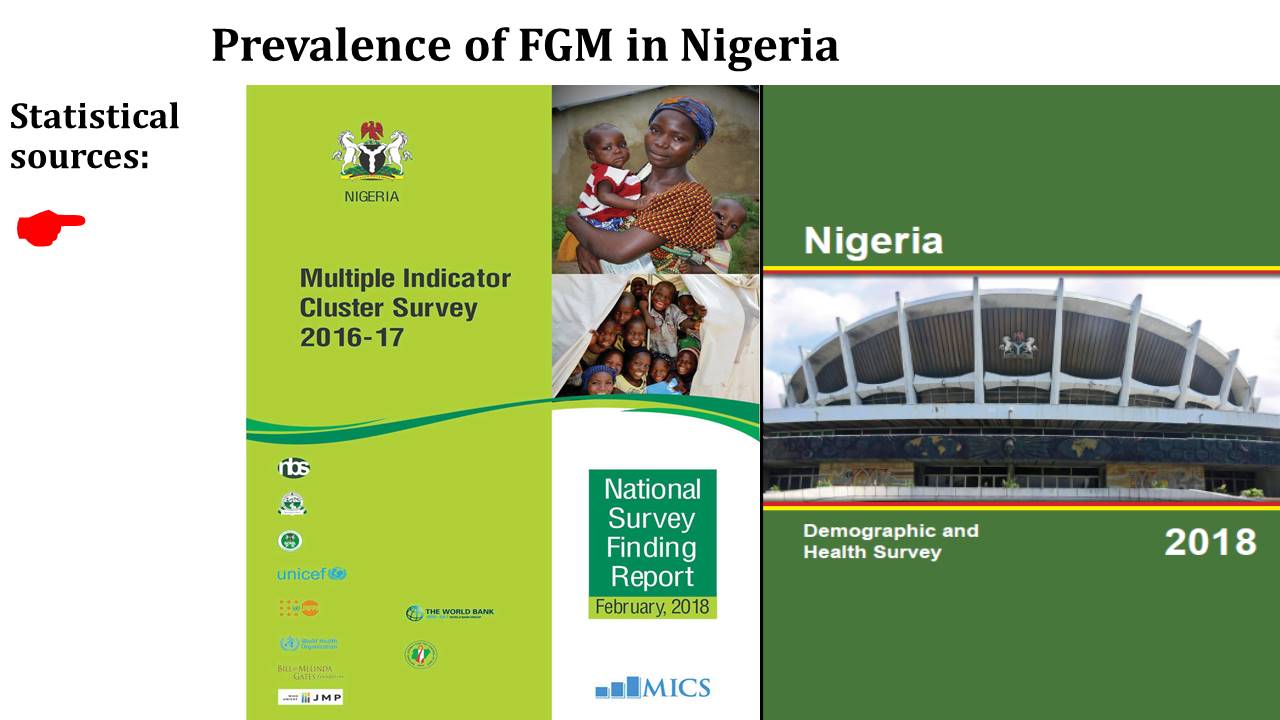 Prevalence Of FGM In Nigeria TRAILBLAZER INITIATIVE NIGERIA   Slide4 